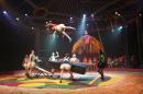 les NoNo font leur cirque 56 * 3504 x 2336 * (3.32MB)